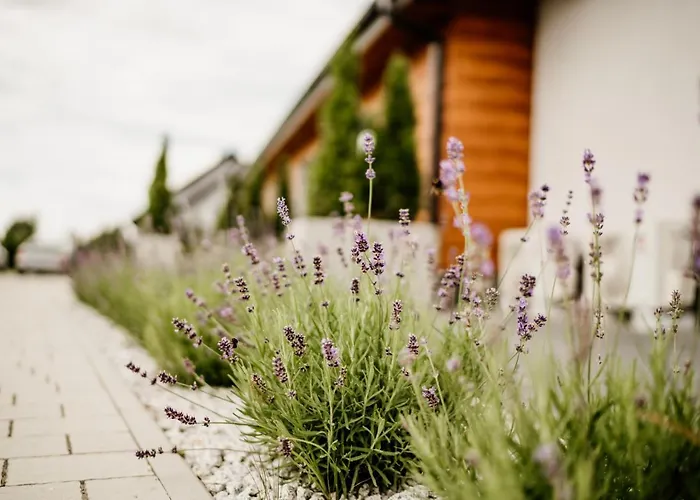 Roza Bed & Breakfast